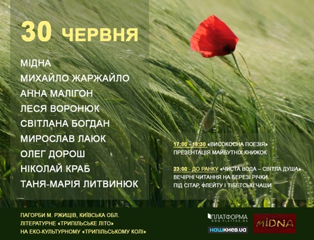 TРИПІЛЬСЬКЕ ЛІТО lit night poster